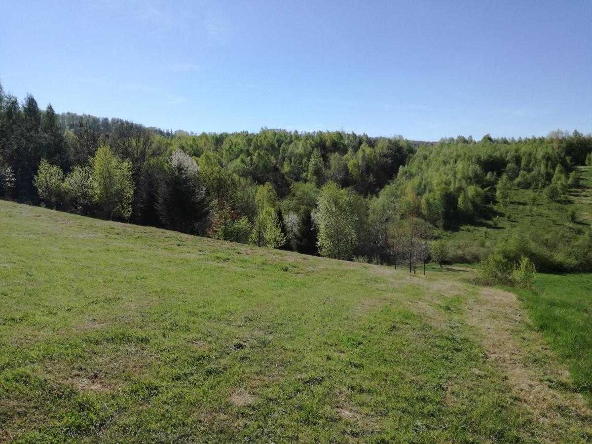 Apartment Z Widokiem Sanok